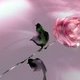Pinkyspages Pinkyspages