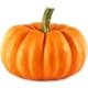 pumpkinchic pumpkinchic