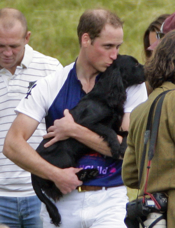 He's a Puppy Lover He's a Puppy Lover