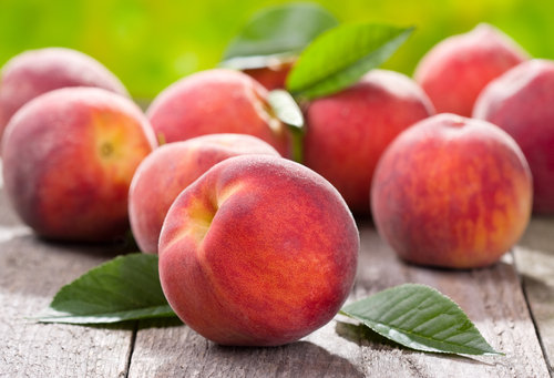 Pick Your Own Fruits From a Local Orchard Pick Your Own Fruits From a Local Orchard