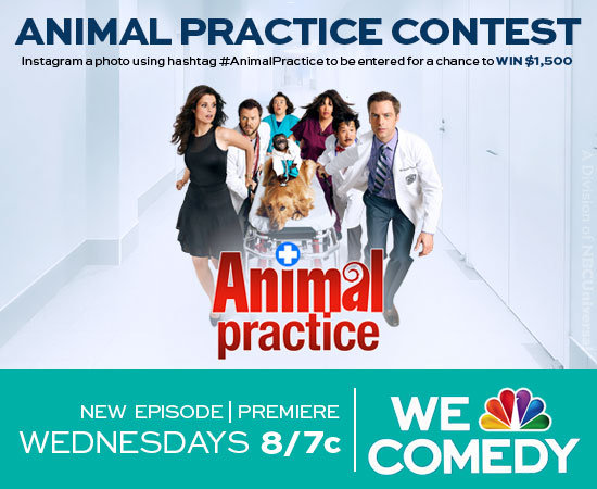 ANIMAL PRACTICE CONTEST: INSTAGRAM A PIC OF YOUR PET FOR A CHANCE TO WIN $1,250 ANIMAL PRACTICE CONTEST: INSTAGRAM A PIC OF YOUR PET FOR A CHANCE TO WIN $1,250
