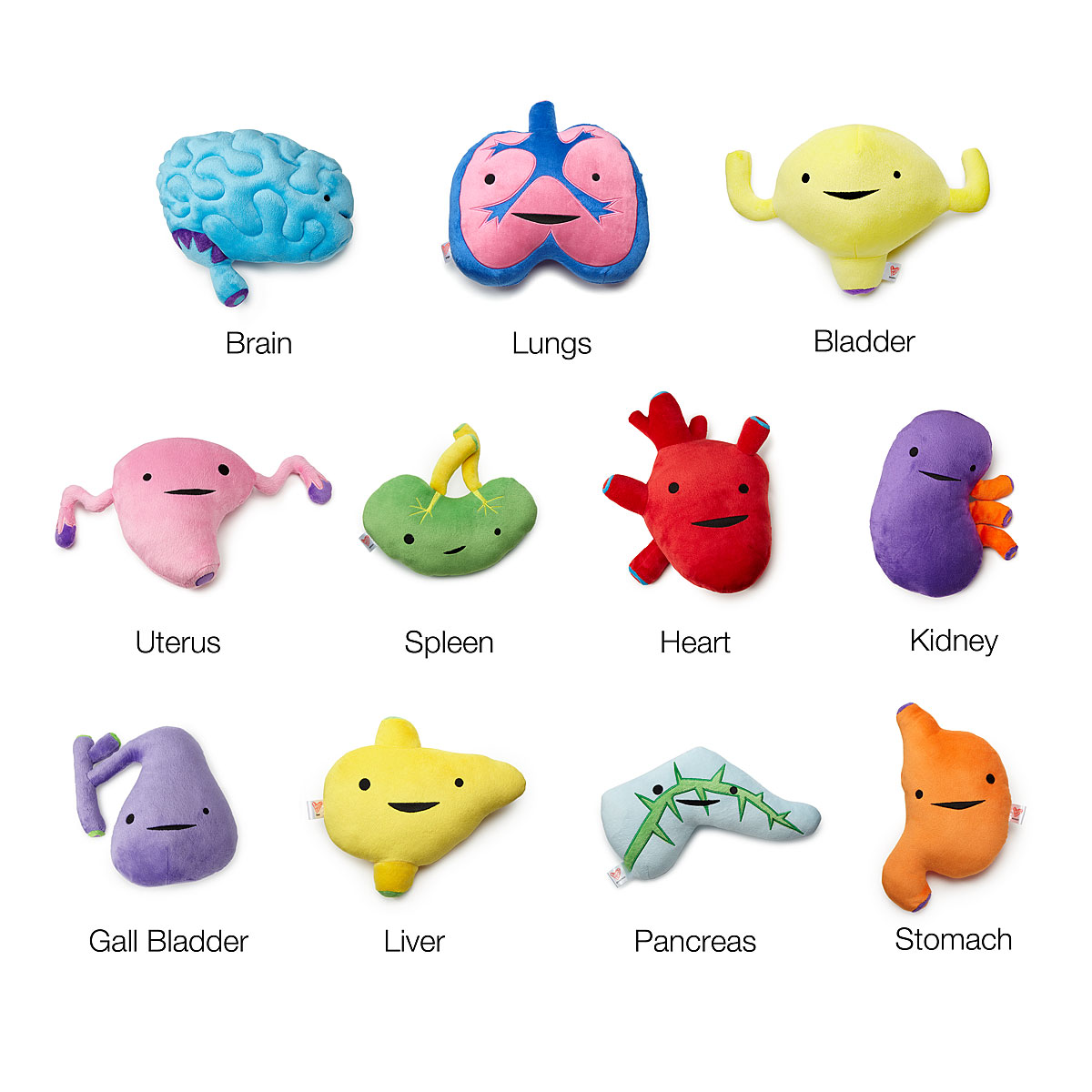 Plush Organs The Best Geek Gifts on Earth, Because Science POPSUGAR