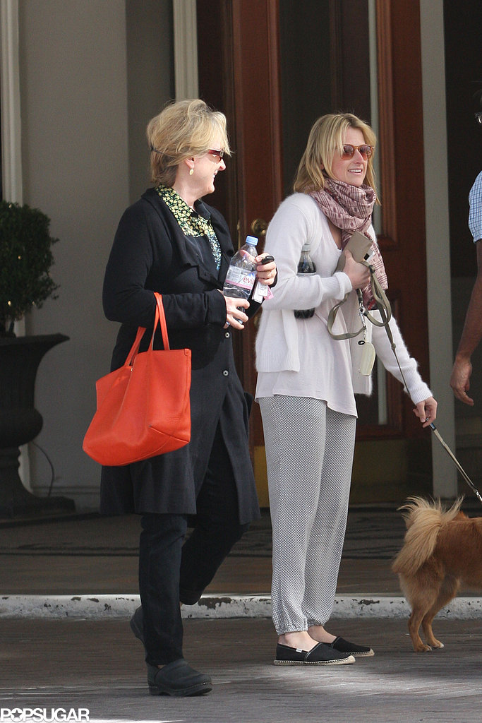 Meryl Streep With Her Daughter After Divorce Popsugar Celebrity