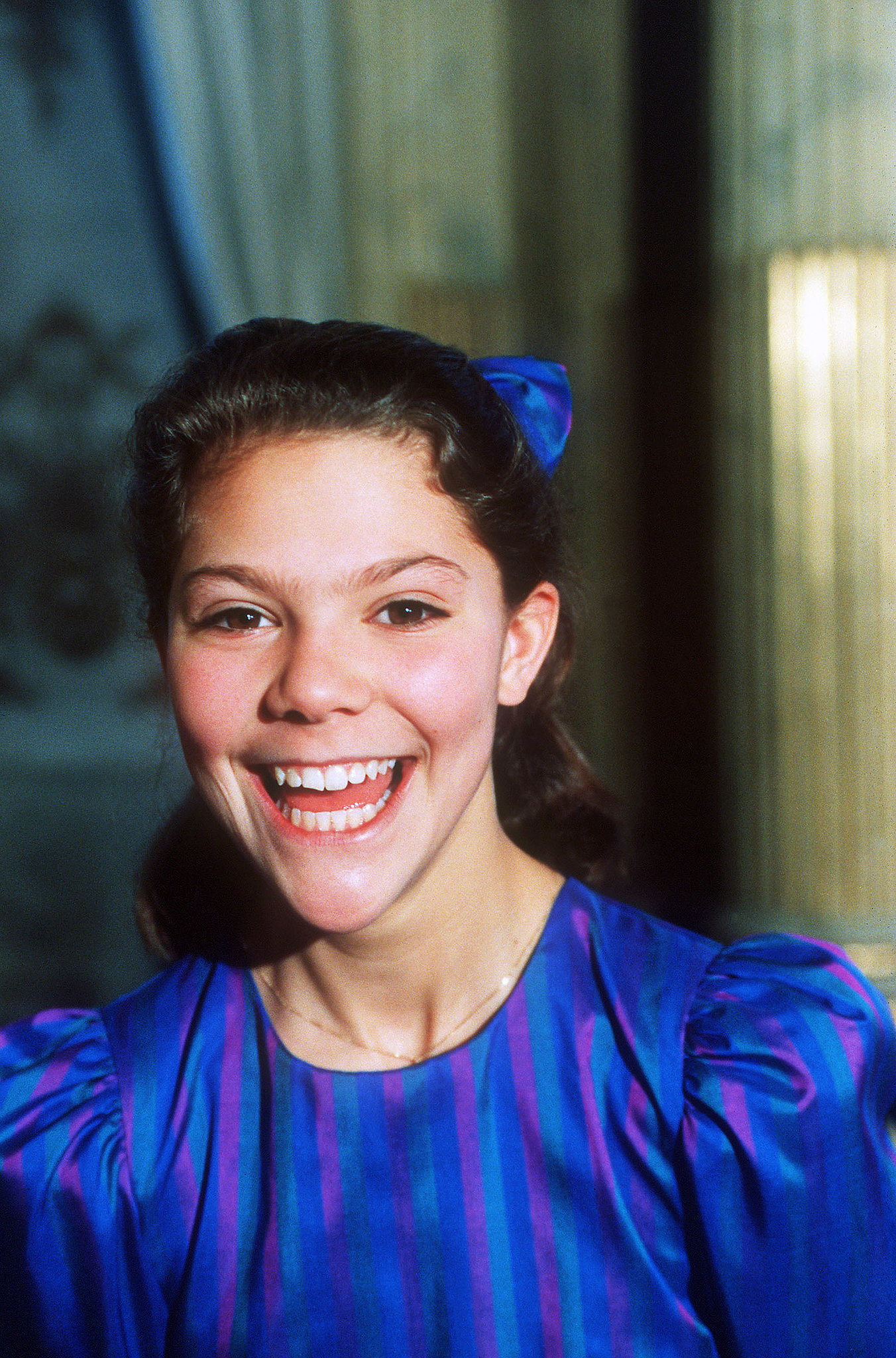 Crown Princess Victoria Royal Heiresses Who Could Be Queens One Day