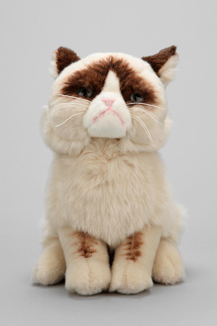 stuffed grumpy cat