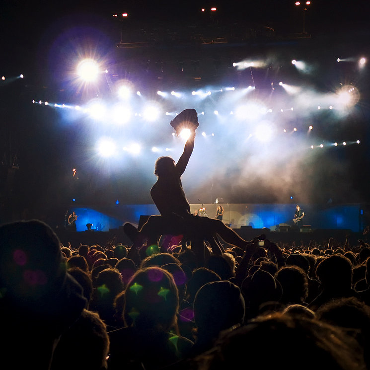 Attend a Music Festival Attend a Music Festival