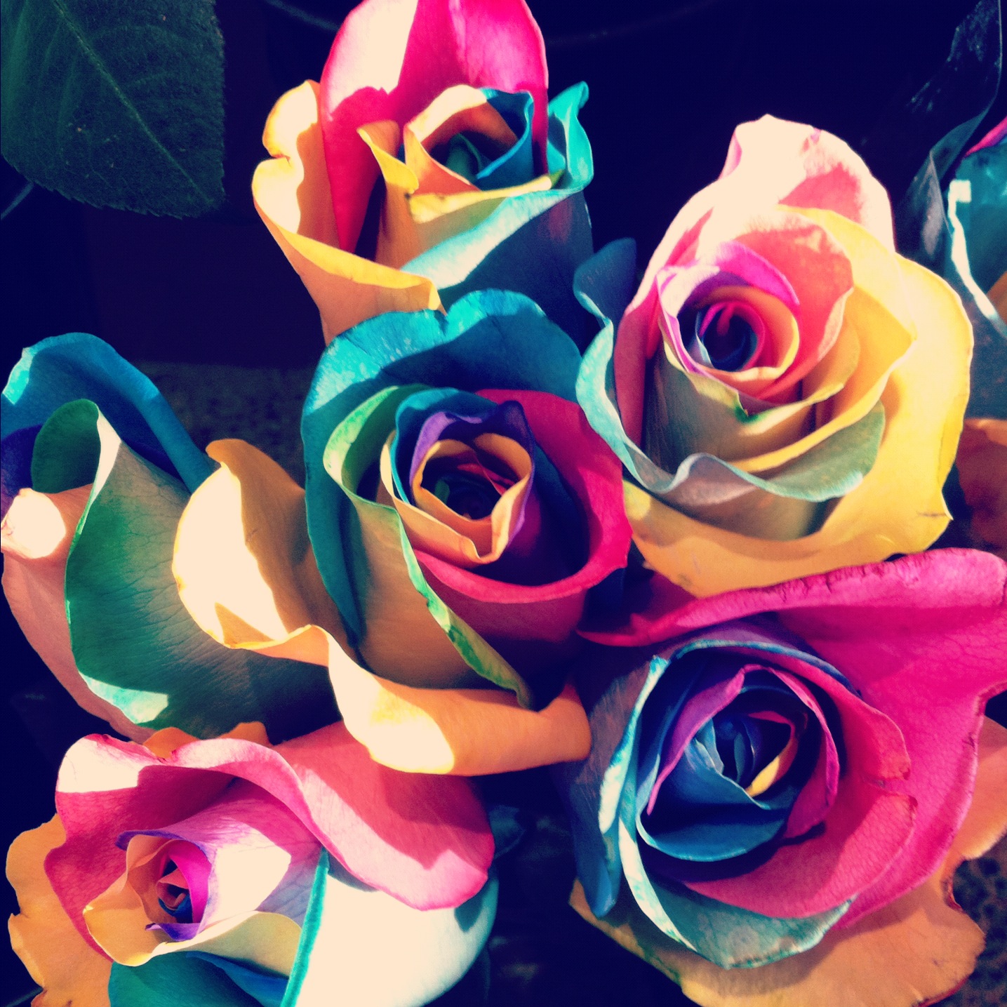 Make A Rainbow Rose 100 Things To Do Before You Die Popsugar Smart