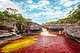 Caño Cristales, Colombia