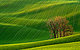 Rolling Hills, Czech Republic