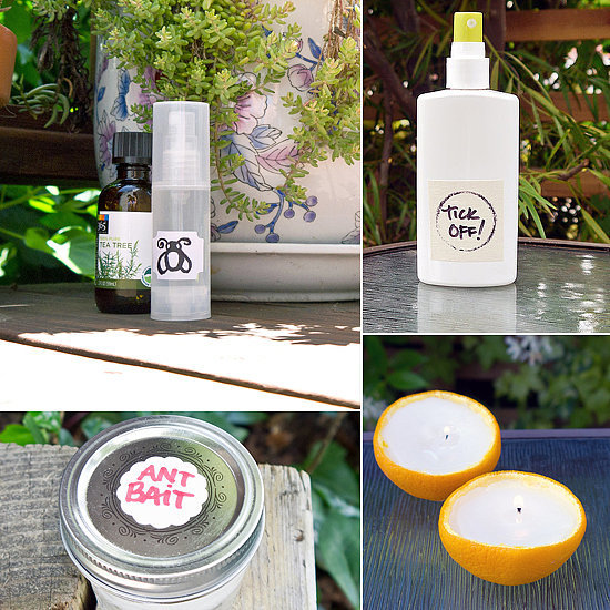 Stay Bug-Free This Summer With These 9 Natural Solutions Stay Bug-Free This Summer With These 9 Natural Solutions