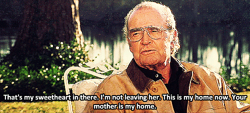 When Older Noah Tells Their CHILDREN That Allie Is His Home When Older Noah Tells Their CHILDREN That Allie Is His Home