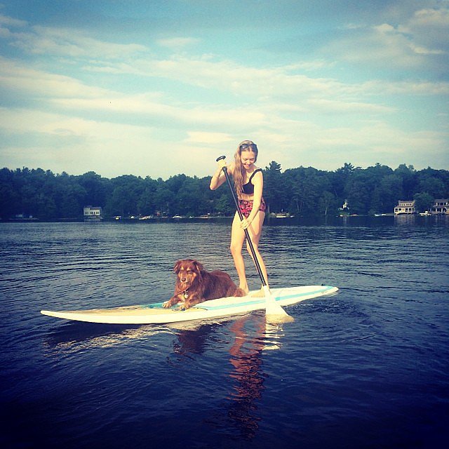 Amanda Seyfried paddled along with her dog, Finn.
Source: Instagram user mingey
Amanda Seyfried paddled along with her dog, Finn.
Source: Instagram user mingey
