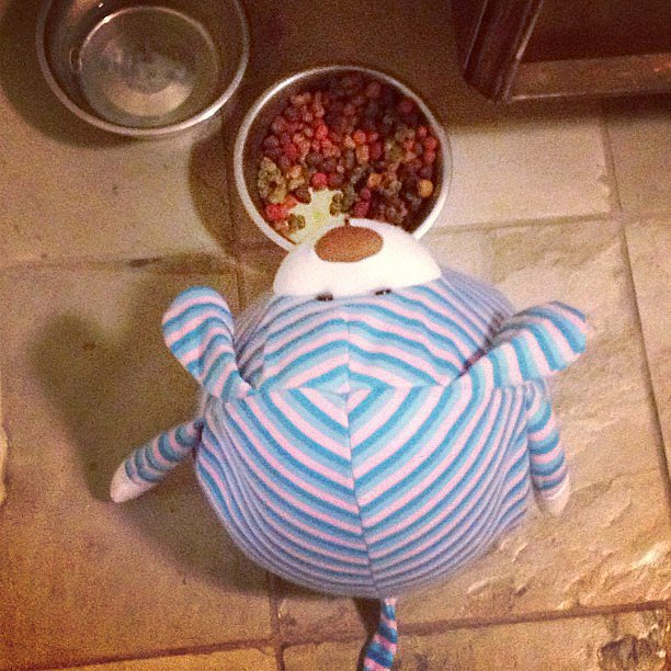When Fluffy Wants to Eat When Fluffy Wants to Eat
