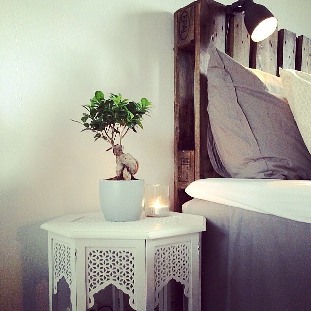 Your lamp doesn't have to sit on your nightstand. If you've got a floor lamp, a lighted headboard, or dimming overheard lights, fill your bedside table with other fun trinkets.
Your lamp doesn't have to sit on your nightstand. If you've got a floor lamp, a lighted headboard, or dimming overheard lights, fill your bedside table with other fun trinkets.