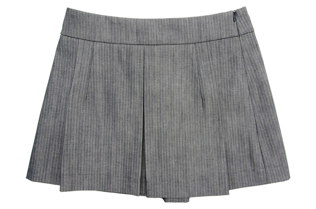 The New Skirt The New Skirt