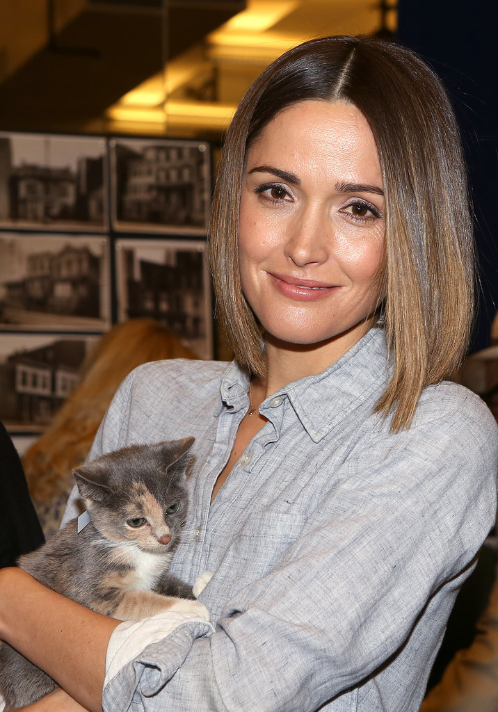 Rose Byrne cuddled a kitten at a Monday event in NYC.
Rose Byrne cuddled a kitten at a Monday event in NYC.