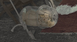 This Caged Woman (Creature?) This Caged Woman (Creature?)