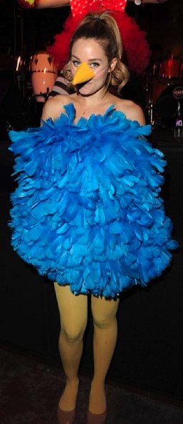 Twitter Bird