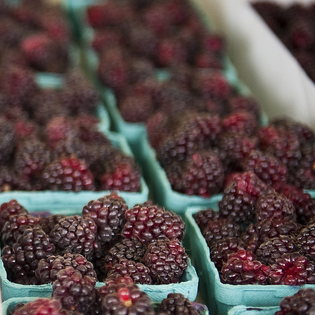 Blackberries Blackberries