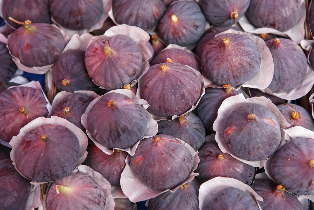 Figs Figs