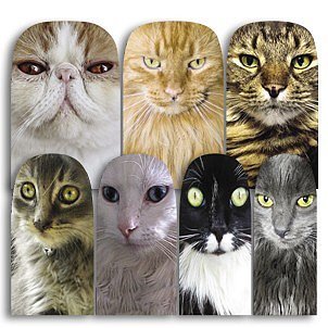 Yes, the cats on these nail wraps ($10 for 14) are definitely judging you. But you wouldn't want it any other way, right?
Yes, the cats on these nail wraps ($10 for 14) are definitely judging you. But you wouldn't want it any other way, right?