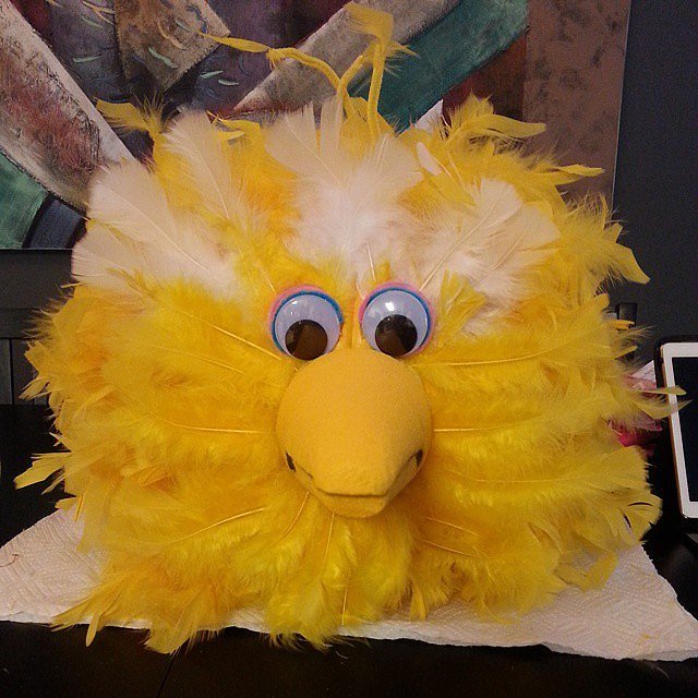 Big Bird! Big Bird!