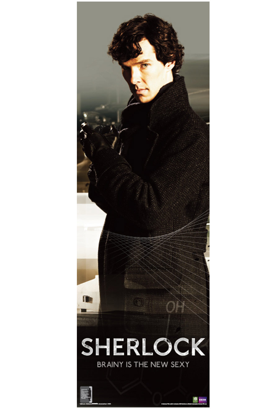 Sherlock Brainy Is The New Sexy Poster 11 T Guide 400 Pop Culture Presents Popsugar