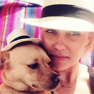 Most Stylish Dogs on Instagram