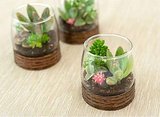 12 Tiny Terrariums You Can DIY For Earthy Wedding Centerpieces 12 Tiny Terrariums You Can DIY For Earthy Wedding Centerpieces