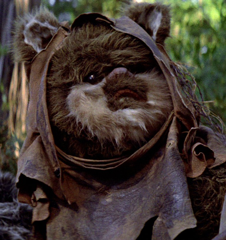 an-ewok-9-things-that-look-distinctly-like-gucci-s-hairy-shoes