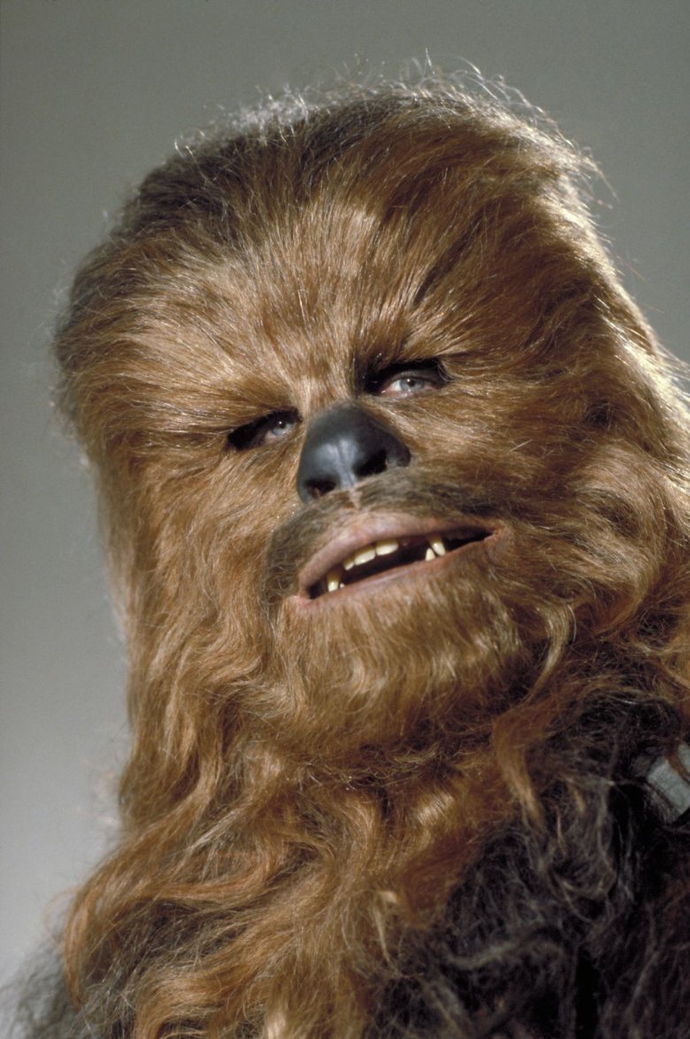 Chewbacca.jpg