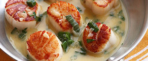 Simple Seared Scallops For Beginners Simple Seared Scallops For Beginners