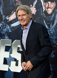 Harrison Ford Recovering From Plane