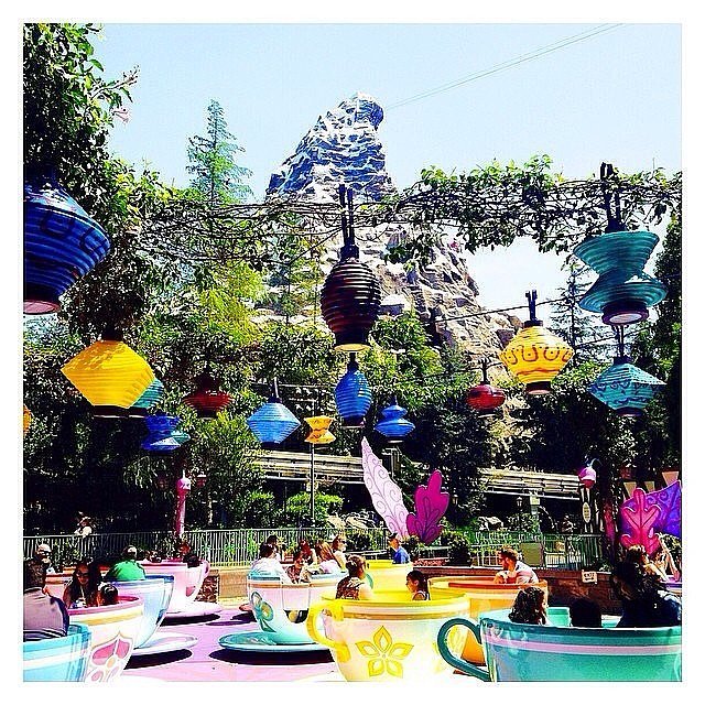 The purple teacup and the orange one with diamond shapes on it are the fastest spinners on the Mad Tea Party ride. The purple teacup and the orange one with diamond shapes on it are the fastest spinners on the Mad Tea Party ride.