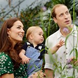 Guide Royal Family: Who's Line
