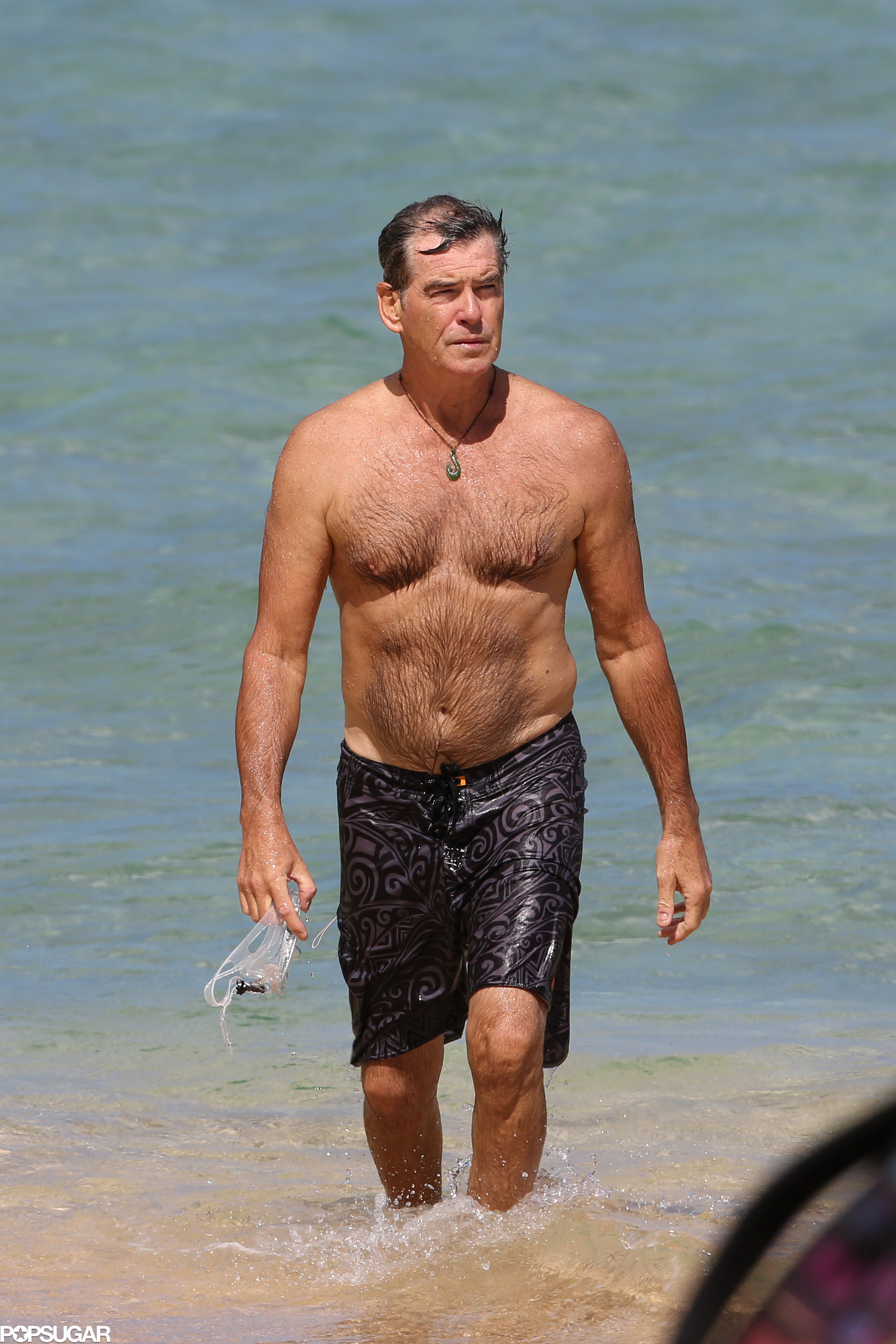 Pierce Brosnan The Sexiest Shirtless Moments Of 2015 Popsugar Celebrity 