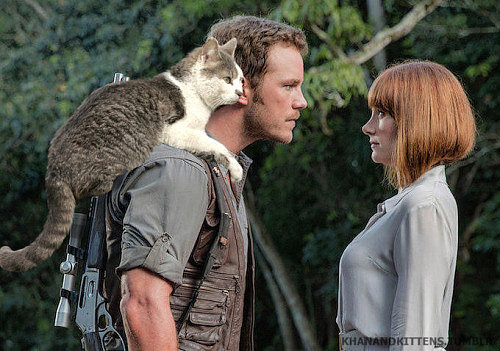 Here's What Jurassic World Would Look Like Starring Cats Instead of Dinosaurs
