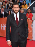 Stars Toronto International Film Festival!