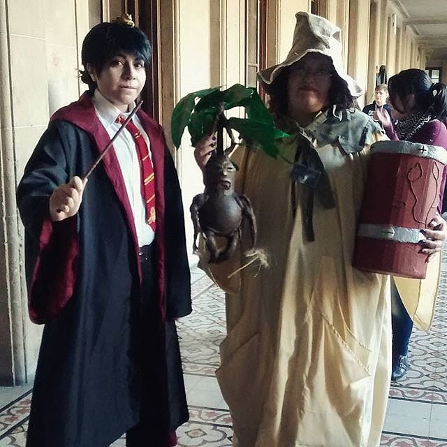 Professor Sprout Costume And Professor Sprout