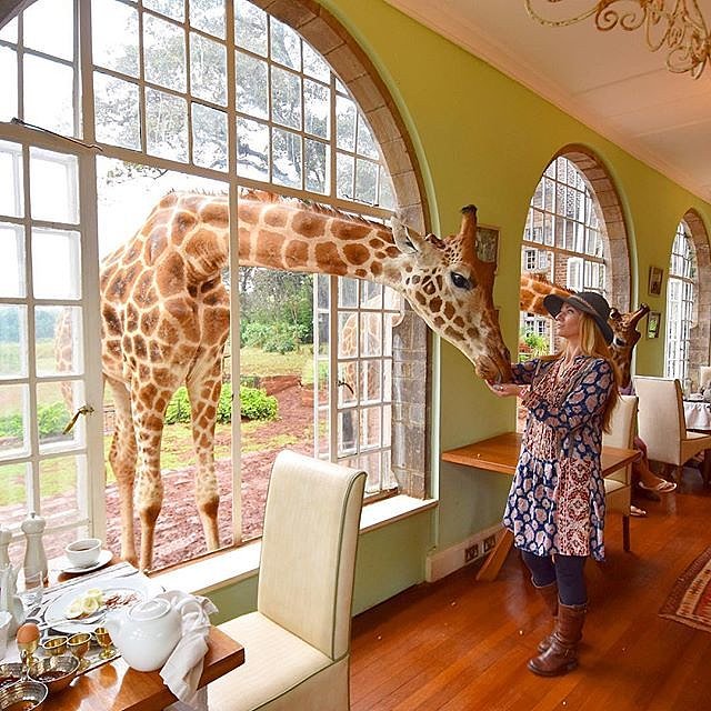 Stay at the Giraffe Manor in Nairobi | 50 Experiences Around the World