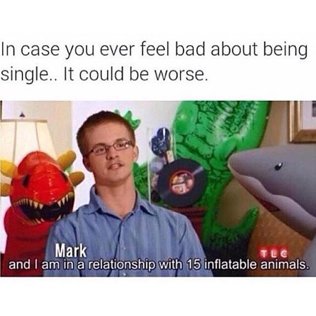 Single On Valentines Day Dog Meme Single On Valentines Day Dog Meme