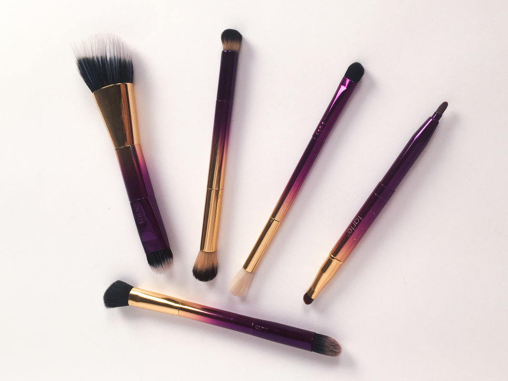 Rainforest of the Sea Brush Collection