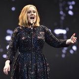 Adele Stops Middle Concert Help
