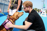These Cute Photos Prince Harry
