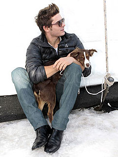 Photos of Zac Efron Playing With Dogs in the Snow in Colorado Photos of Zac Efron Playing With Dogs in the Snow in Colorado