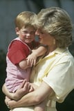 Ways Prince Harry Following Princess