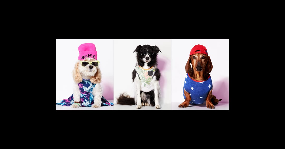 American Eagle Dog Clothes Line POPSUGAR Fashion