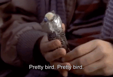 prettybird