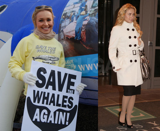 Hayden Panettiere Save the Whales Again Rally Hayden Panettiere Save the Whales Again Rally