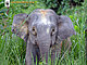 chelsea_129 chelsea_129